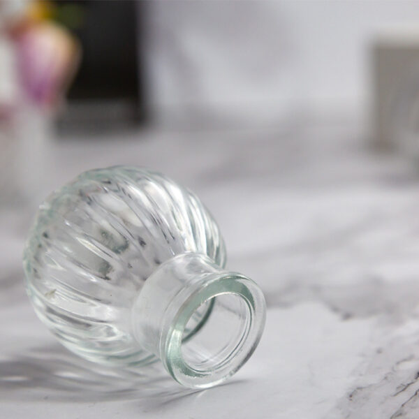 Reed Diffuser Bottle (2)