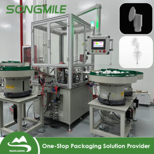 Te hoê rave'a no te faaineine i te maa