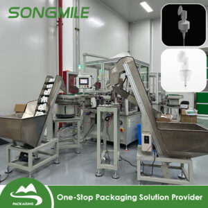 Te hoê rave'a no te faaineine i te maa