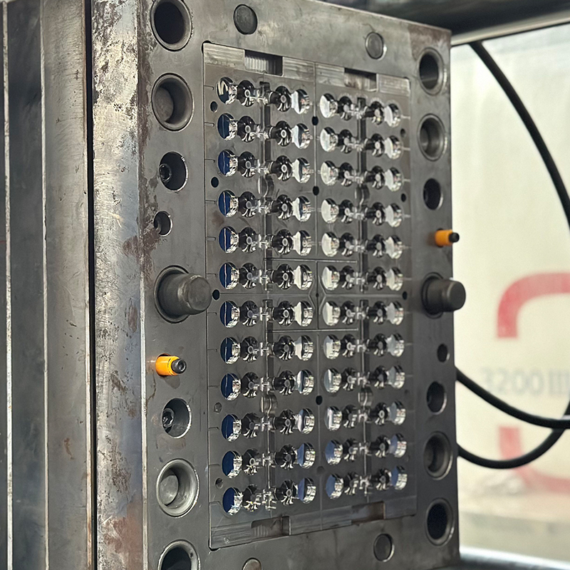 Plastic Cap Injection Mold (1)